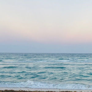 Meet your Posher, Abigail